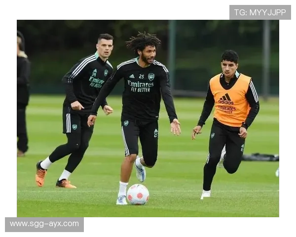 萨卡私训师揭秘：速度与稳定并进